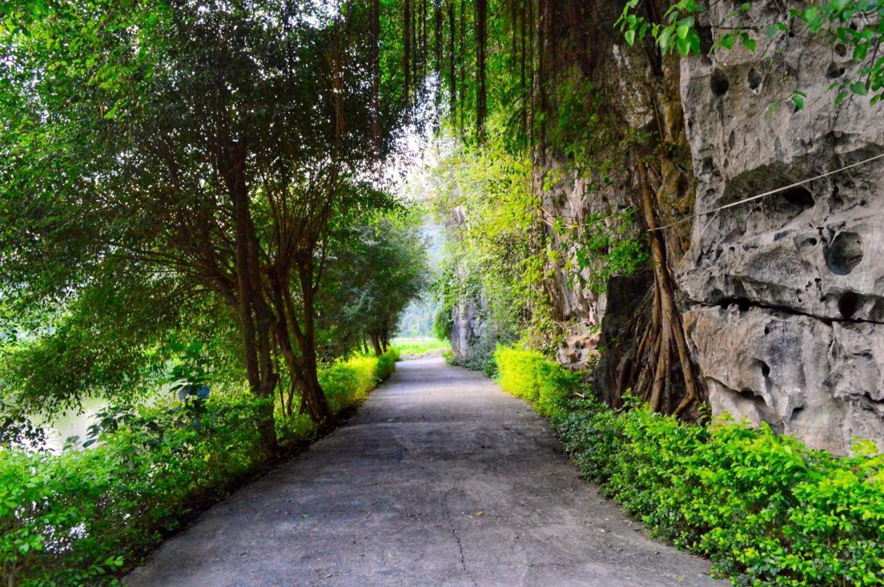 Tam Coc Nature * Ninh Binh