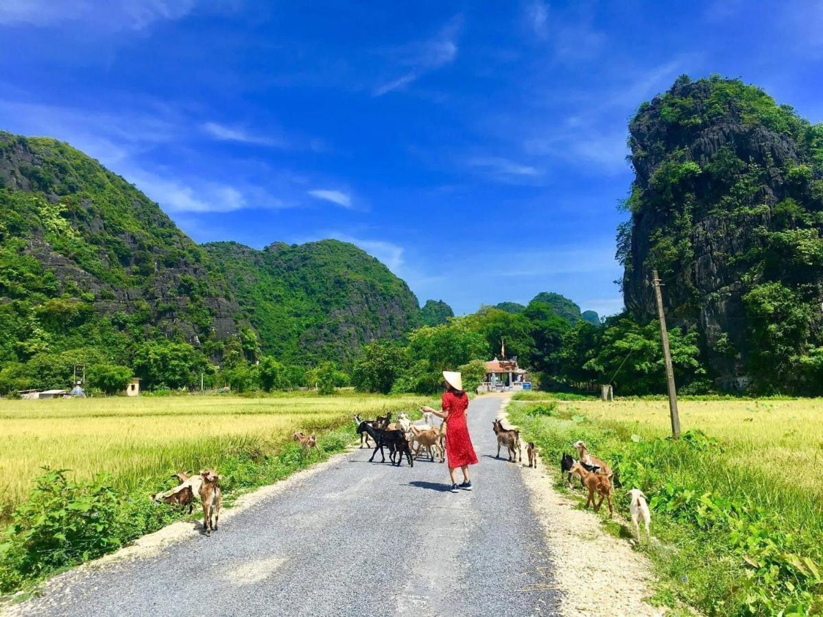 Tam Coc Nature *