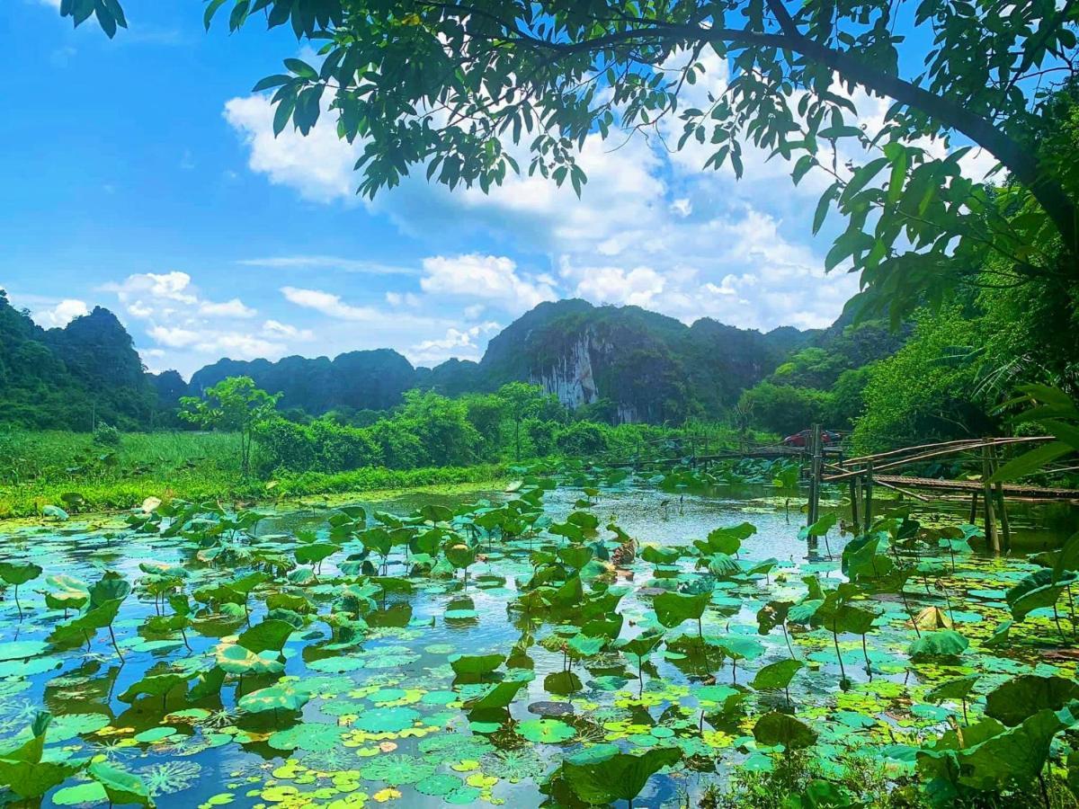 Tam Coc Nature * Ninh Binh